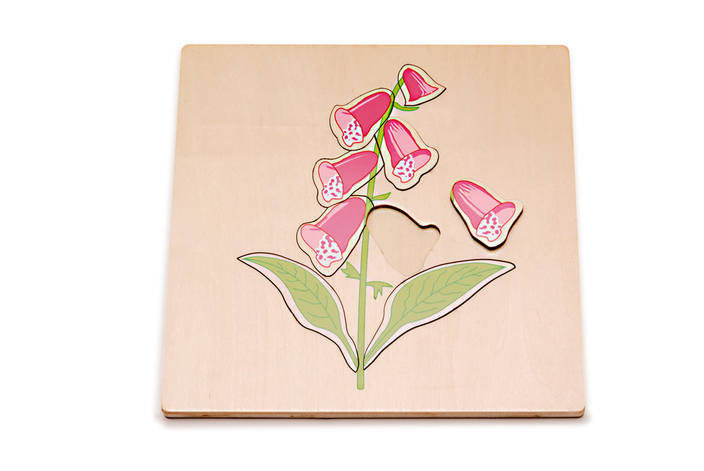 Foxglove Puzzle