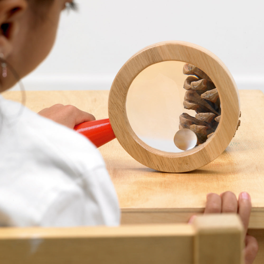 Wooden Hand Lens