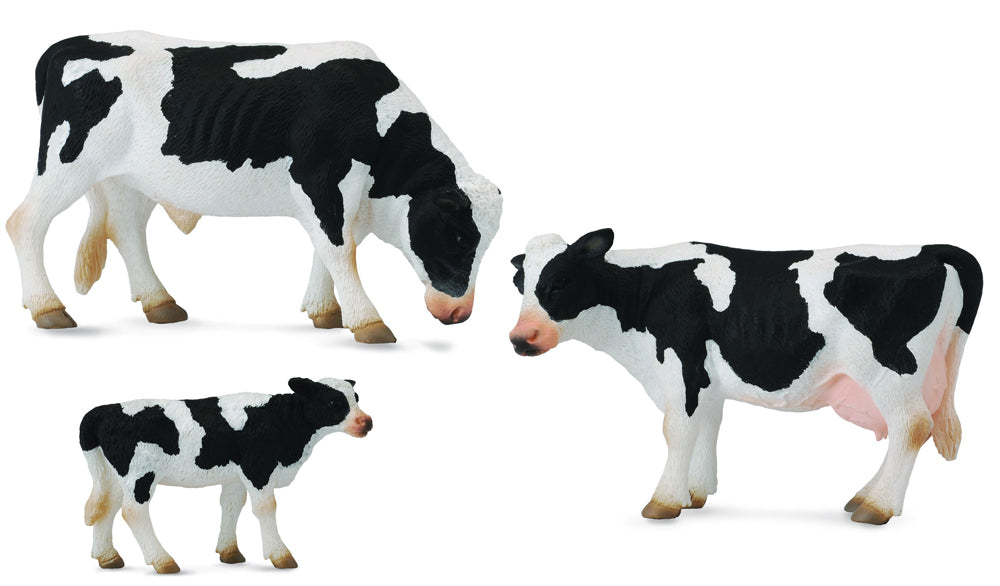 Farm Animals: Friesian Cattle: Calf