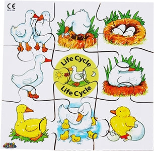 4 Lifecycles Puzzles