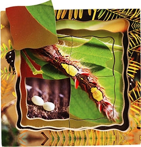 Butterfly Lifecycle Layered Tray Puzzle