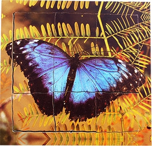 Butterfly Lifecycle Layered Tray Puzzle