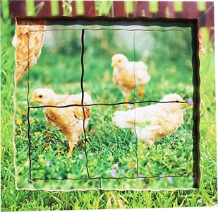 Chicken Lifecycle Layered Tray Puzzle