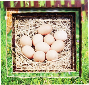 Chicken Lifecycle Layered Tray Puzzle