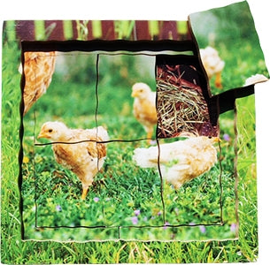 Chicken Lifecycle Layered Tray Puzzle