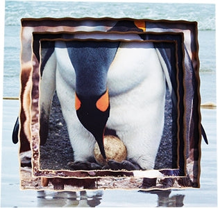 Penguin Lifecycle Layered Tray Puzzle