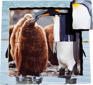 Penguin Lifecycle Layered Tray Puzzle