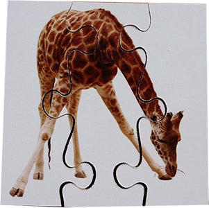 6 Wild Animals Simple Wooden Jigsaws