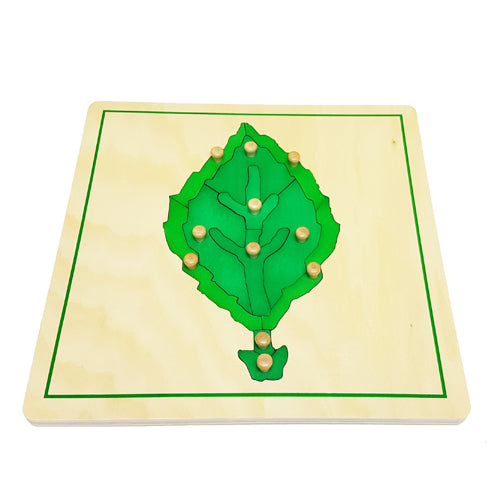 Montessori Botany Cabinet with Tree, Leaf and Flower Puzzles