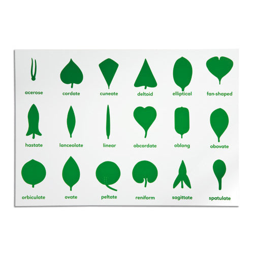 Nienhuis Montessori Botany Cabinet Control Chart, Eng.