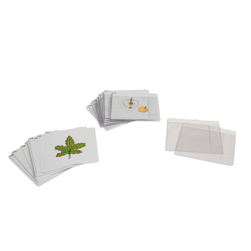 Nienhuis Montessori Third Set Of Botany Cards