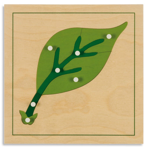 Nienhuis Montessori Botany Puzzle: Leaf