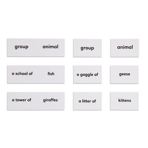 Nienhuis Montessori Csm, Animals And Their Groups