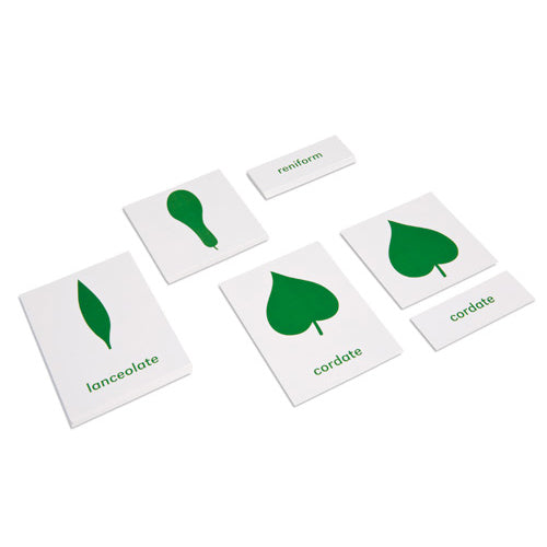 Nienhuis Montessori Csm, Botany Cabinet Nomenclature Cards