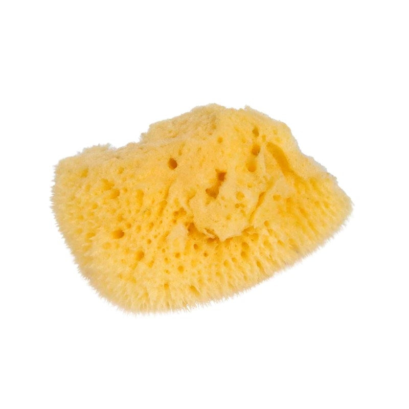 Nienhuis Natural Sponge (NL)