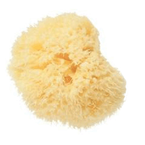 Montessori Small Natural Sponge