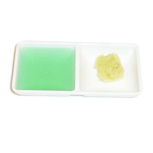 Montessori Transferring Dish with 2 Compartments