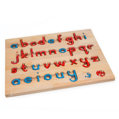 Montessori Small Movable Alphabet Letters red and blue
