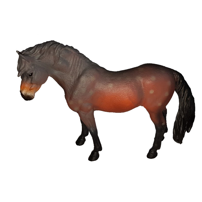 Outlet Bay Stallion Pony