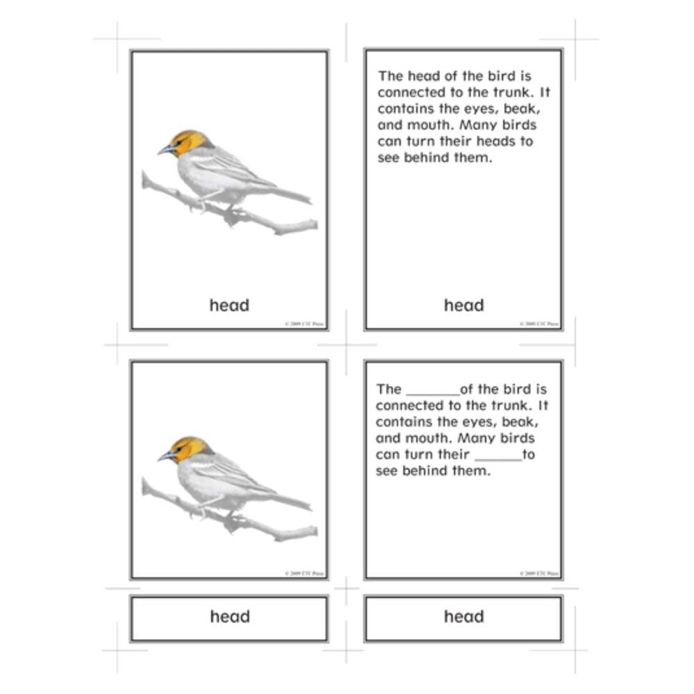 Nienhuis ETC External Characteristics of Vertebrates