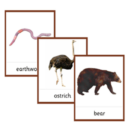 Montessori Land Wildlife Cards .pdf File