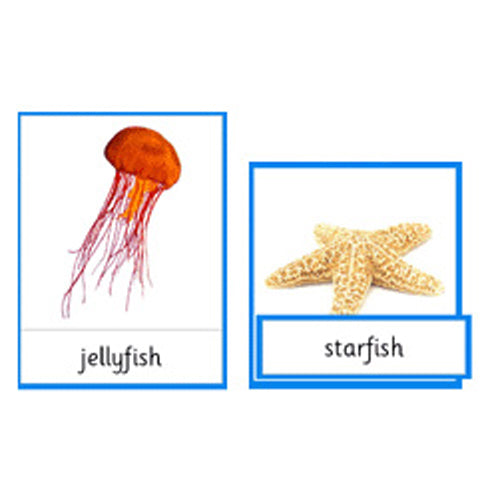 Montessori Water Wildlife Cards .pdf File