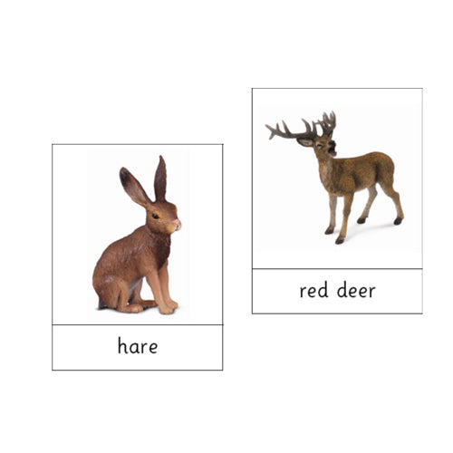 Montessori Animals of Europe .pdf file
