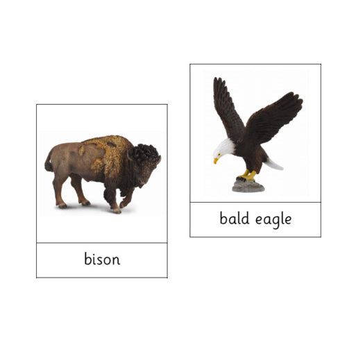 Montessori Animals of North America .pdf file