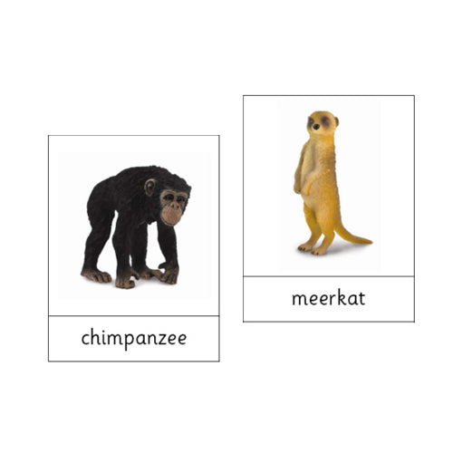 Montessori Animals of Africa .pdf file