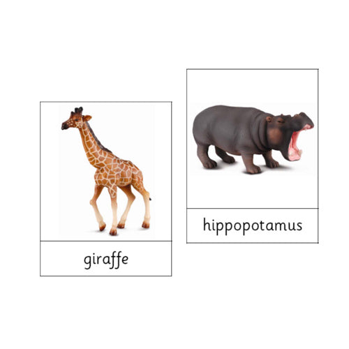 Montessori Animals of Africa 2 .pdf file