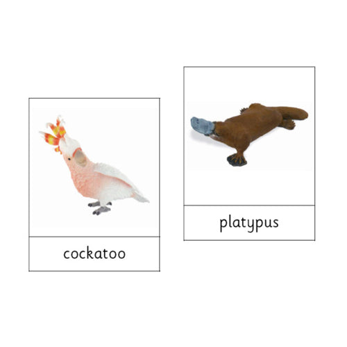 Montessori Animals of Australasia .pdf file