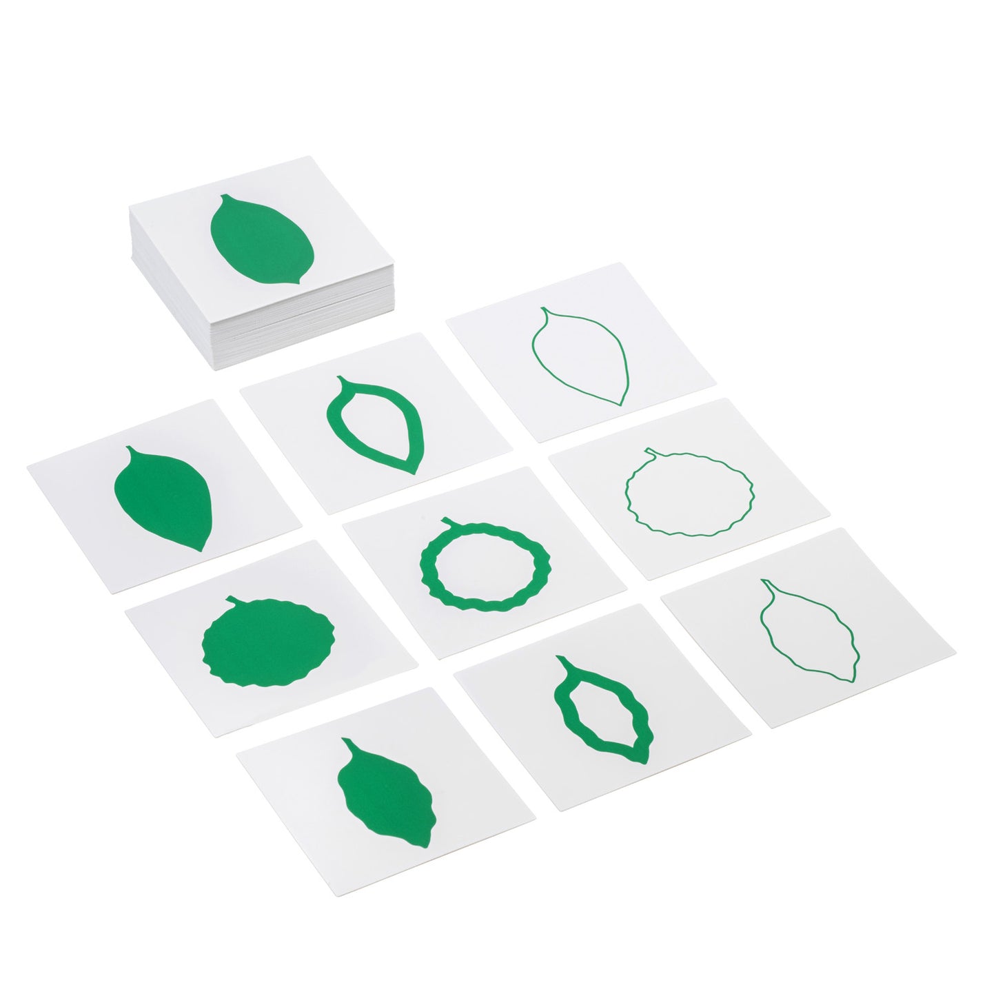 Leaf Shapes Cards (NL)