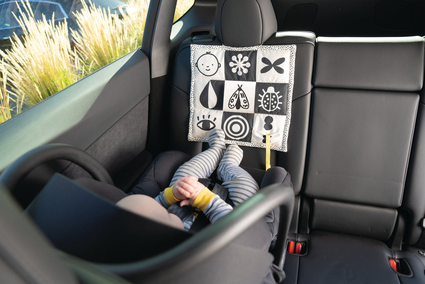 Infant Visual Contrast Play Mat
