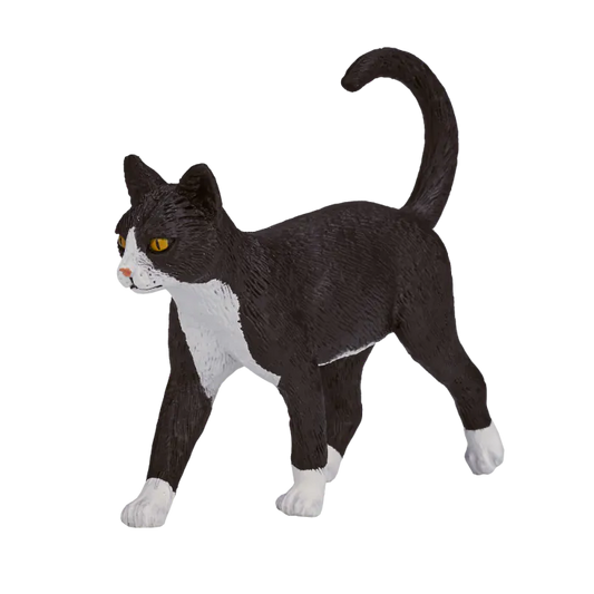 Farm animals: Black and White Cat
