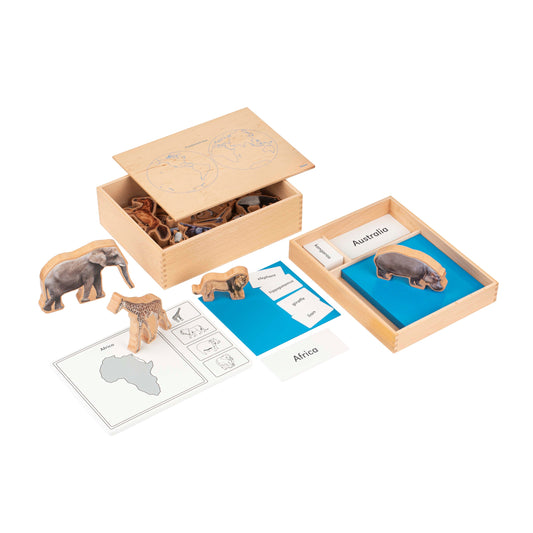 Nienhuis The Continent Box (NL)