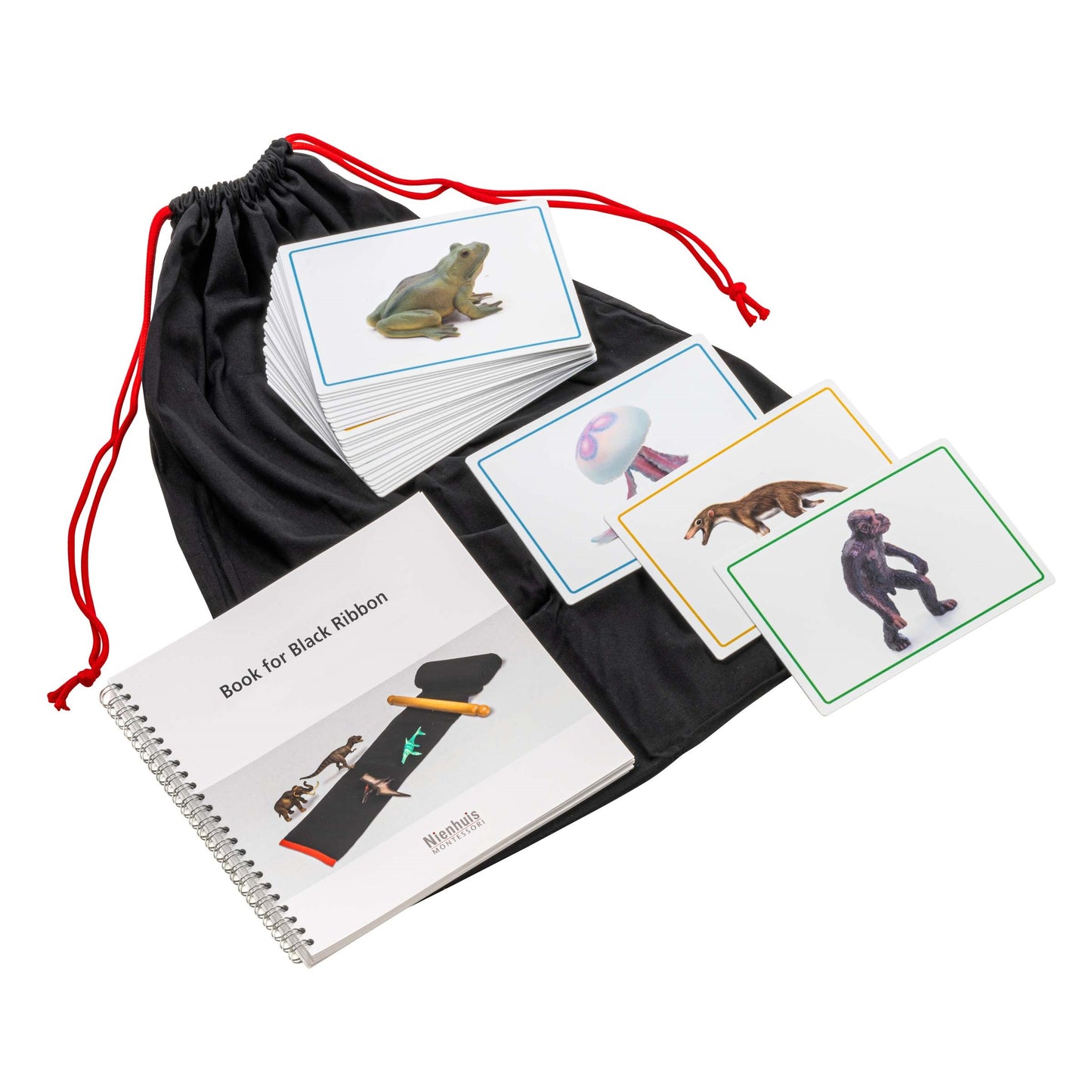 Nienhuis Cards And Book For The Black Ribbon (NL)