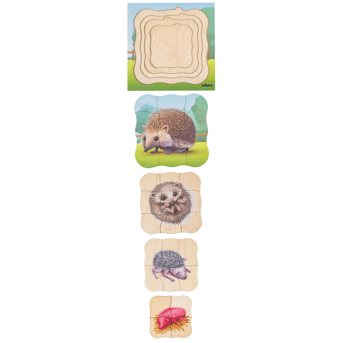 Set of 5 Growth Puzzles - On the Farm (NL)