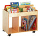 BOOK DISPLAY TROLLEY (NL)