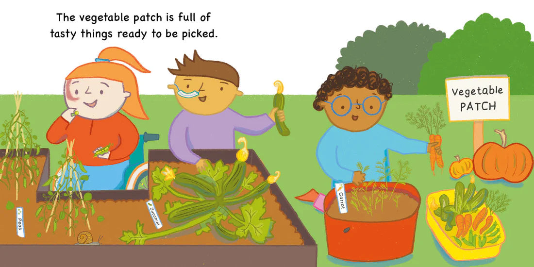 Book: Errol's Seasons: Autumn