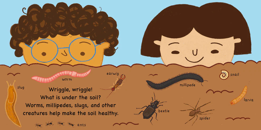 Book: Errol's Seasons: Spring