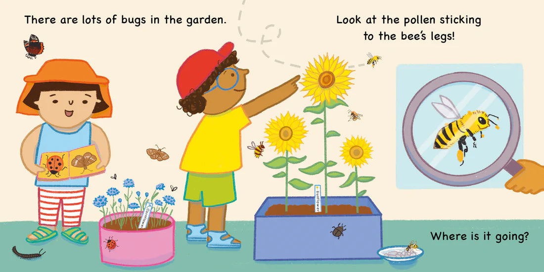 Book: Errol's Seasons: Summer