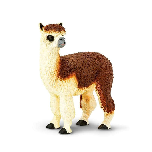 Animals of South America: Alpaca