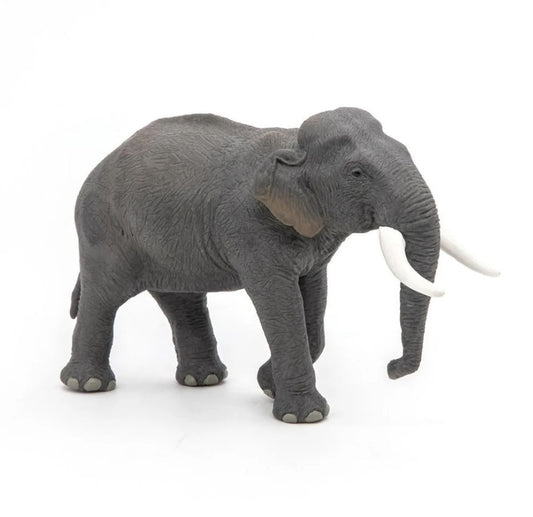 Animals of Asia: Elephant