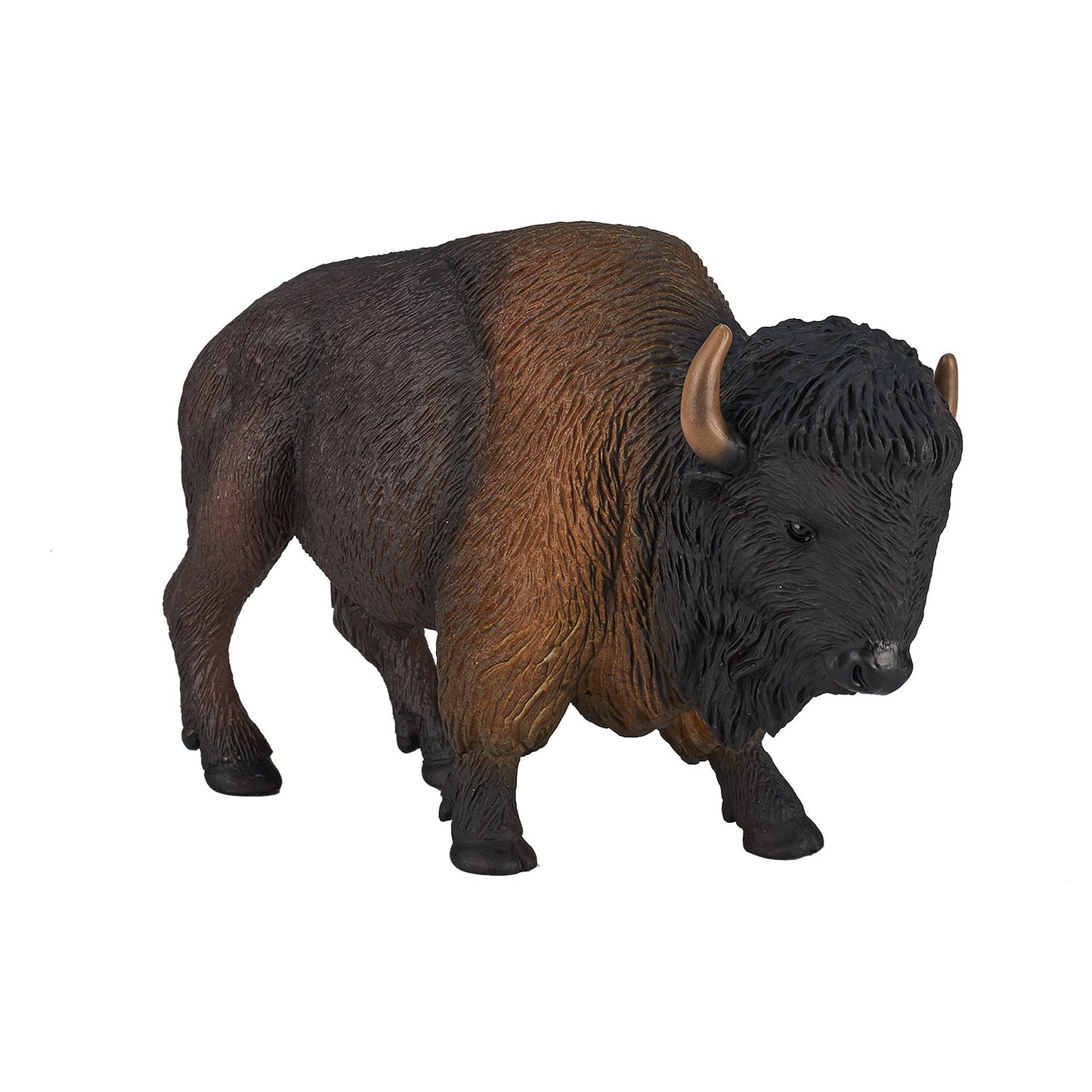 Animals of North America: Bison