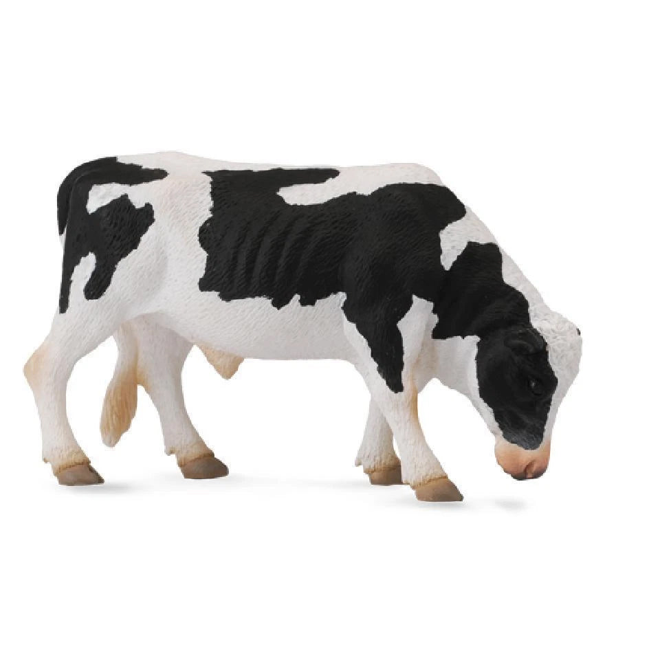 Farm Animals: Friesian Cattle: Bull