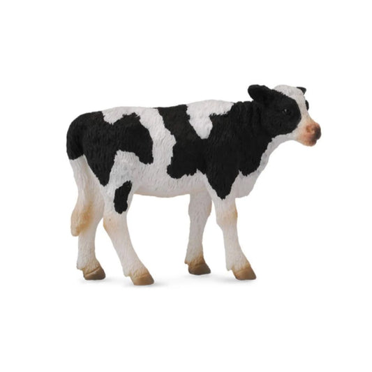 Farm Animals: Friesian Cattle: Calf