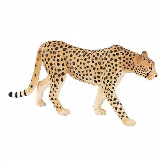 Animals of Africa: Cheetah