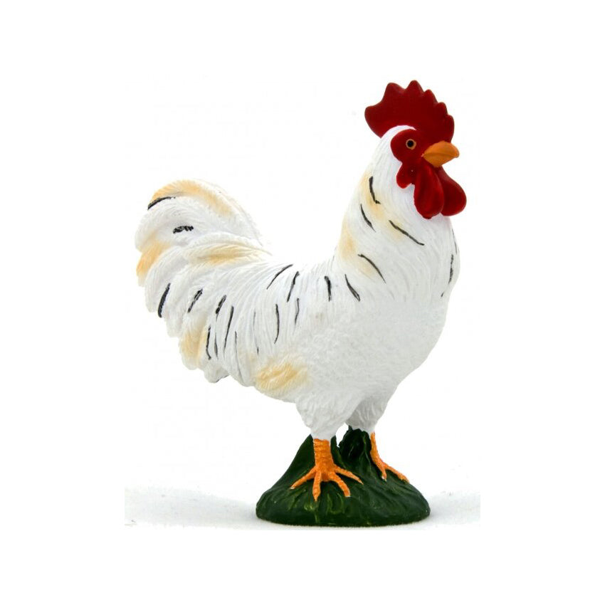 Farm Animals: Chicken: Cockerell