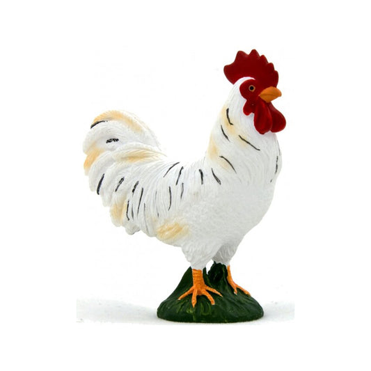 Farm Animals: Chicken: Cockerell