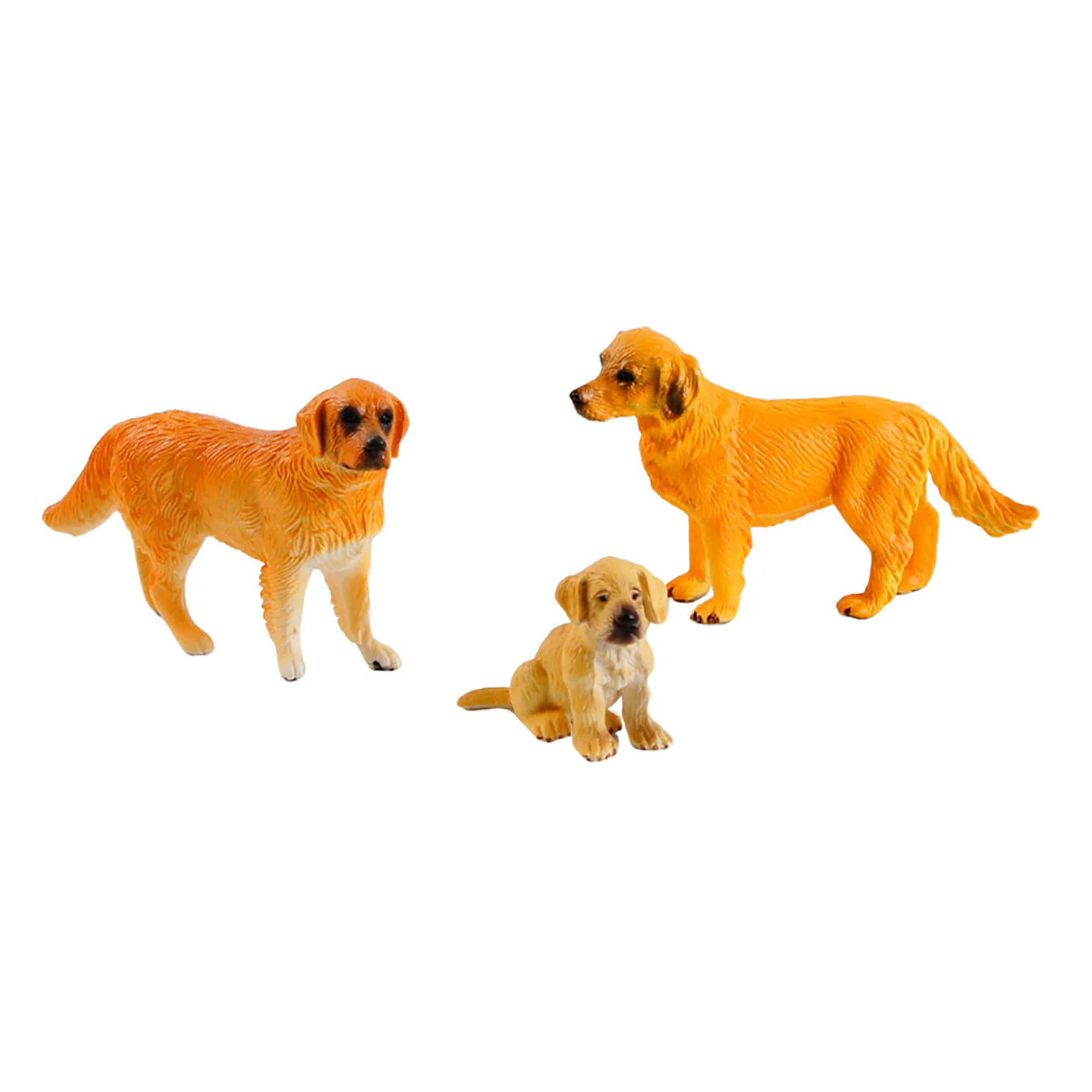 Domestic pets: 2 dogs and a puppy (Golden Retrievers)